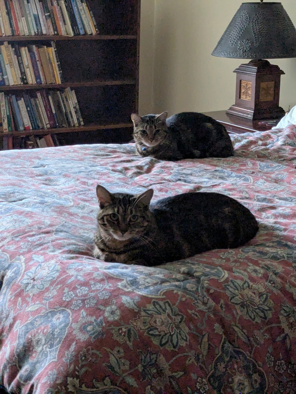 Resized_8214950818804413650